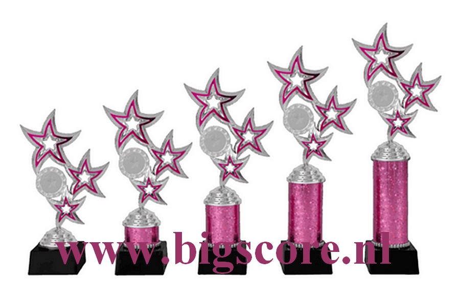 AR1016 Kunststofbeker Roze-Zilver